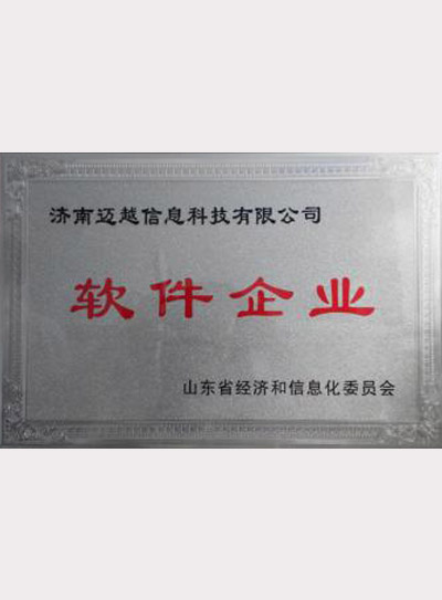 軟件企業(yè)
